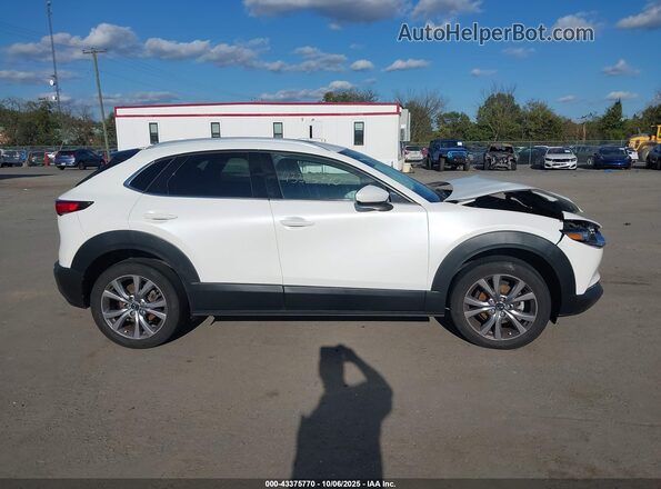 3MVDMBDL8MM310498 2021 MAZDA CX-30 White Սալոնի հետևի տեսք