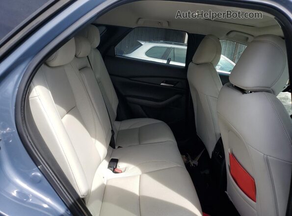 3MVDMBDM1MM216262 2021 MAZDA CX-30 Blue Вид задніх сидінь