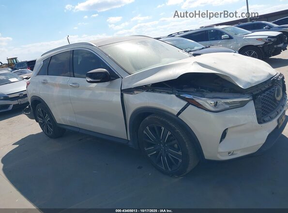 3PCAJ5BA2MF112021 2021 INFINITI QX50 White Вид задньої частини салону