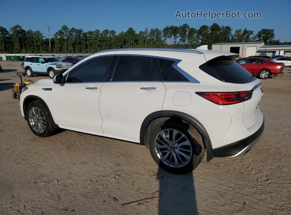 3PCAJ5BA9RF104487 2024 INFINITI QX50 White უკანა მარცხენა