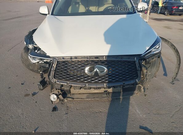 3PCAJ5BB6NF106393 2022 INFINITI QX50 Белый Вид спереди