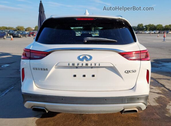 3PCAJ5CA8MF102477 2021 INFINITI QX50 White Հետևի տեսք
