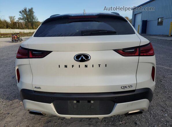 3PCAJ5JR6PF101597 2023 INFINITI QX55 White Հետևի տեսք