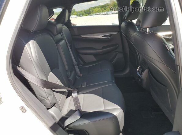 3PCAJ5M35LF116447 2020 INFINITI QX50 Белый Вид задней части салона