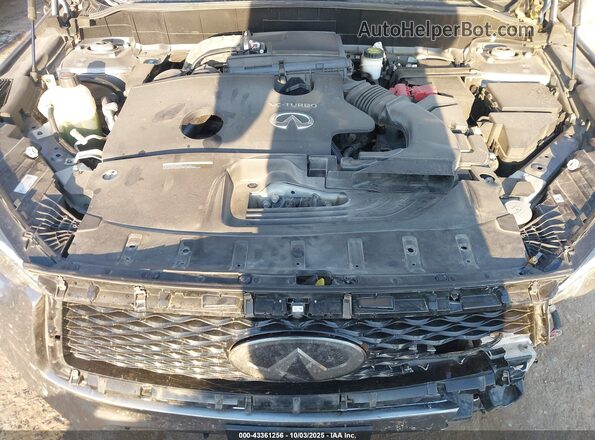 3PCAJ5M38LF116300 2020 INFINITI QX50 Gray Вид ззаду