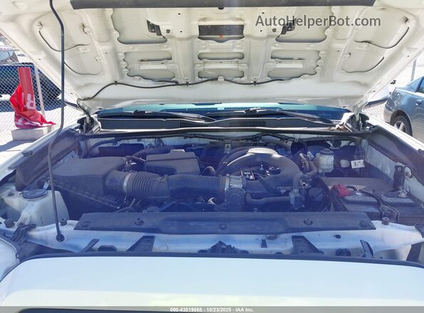 3TMBZ5DN0LM024558 2020 TOYOTA TACOMA Белый Вид сзади