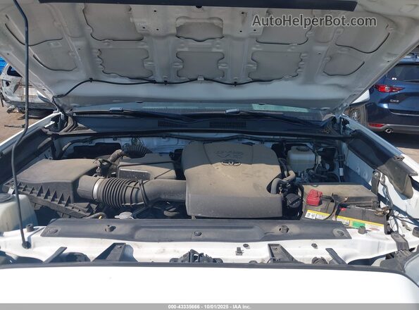 3TMCZ5AN0LM319653 2020 TOYOTA TACOMA White Rear view