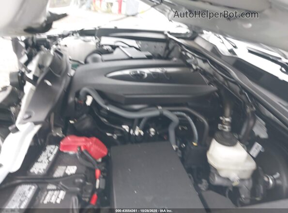 3TMCZ5AN2PM599744 2023 TOYOTA TACOMA White Widok z tyłu