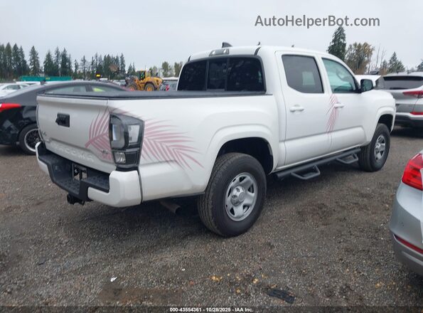 3TMCZ5AN2PM599744 2023 TOYOTA TACOMA White Tył prawy