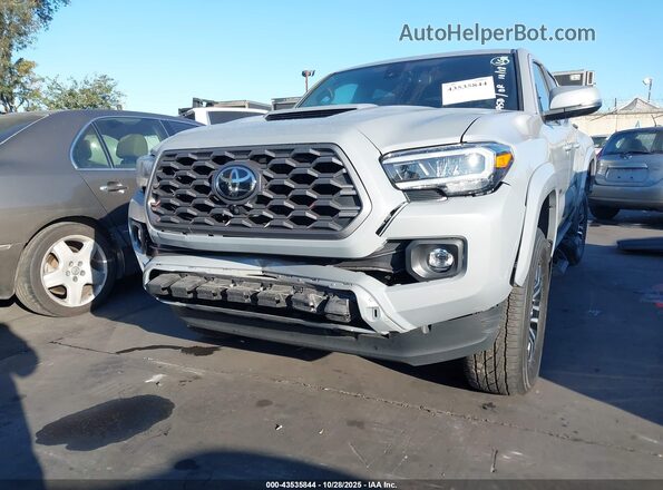3TMCZ5ANXLM353857 2020 TOYOTA TACOMA Gray 