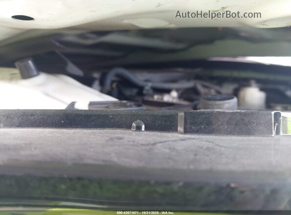 3TMGZ5AN3MM424044 2021 TOYOTA LIMITED White Widok z tyłu