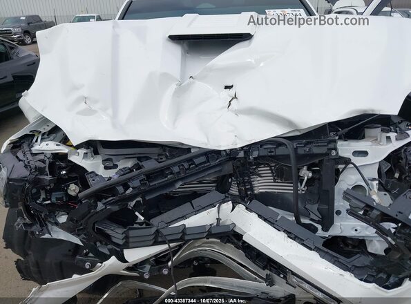 3TMLB5JN0RM057503 2024 TOYOTA TACOMA Белый Вид сзади