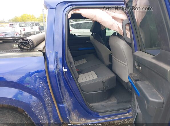 3TMLB5JN5RM084227 2024 TOYOTA TACOMA Purple Вид наклейки з VIN-кодом