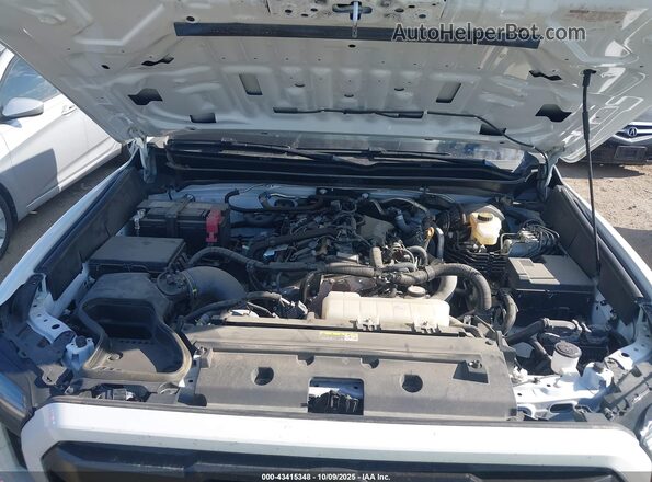 3TMLB5JN7RM064707 2024 TOYOTA TACOMA White Вид ззаду