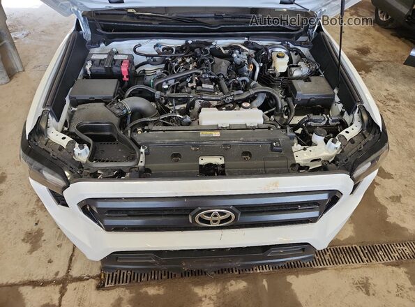 3TYJDAHN2ST024433 2025 TOYOTA TACOMA Белый 