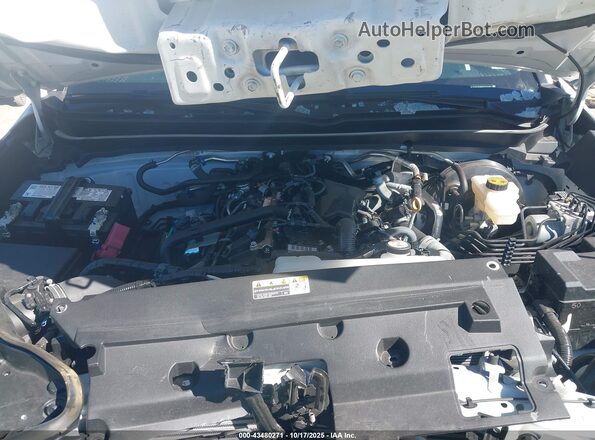 3TYKD5HNXRT012357 2024 TOYOTA TACOMA Белый Вид сзади