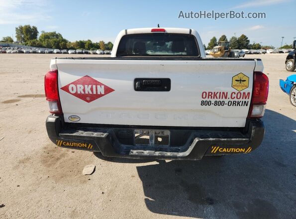 3TYRX5GN6LT004674 2020 TOYOTA TACOMA Белый Вид сзади