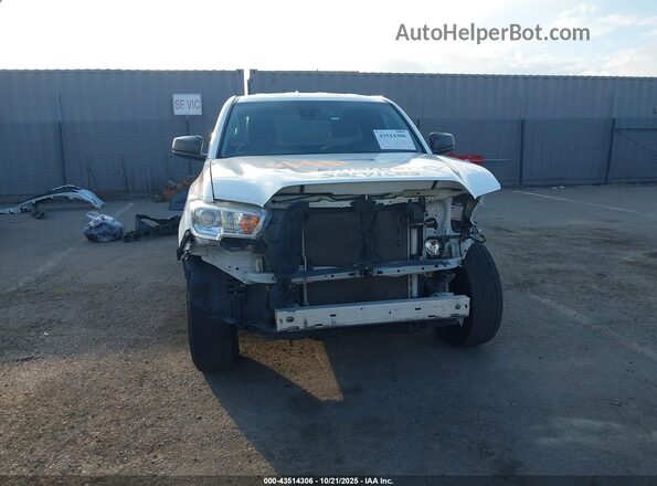 3TYRX5GN7LT001654 2020 TOYOTA TACOMA Белый Вид задней части салона