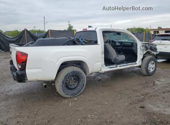 3TYRX5GN8NT050459 2022 TOYOTA TACOMA White Tył prawy