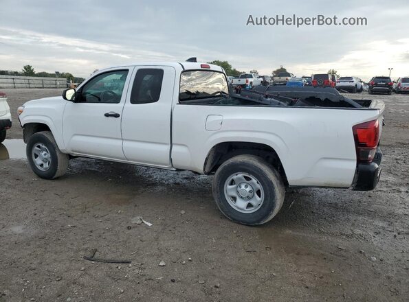 3TYRX5GN8NT050459 2022 TOYOTA TACOMA White Tył lewy