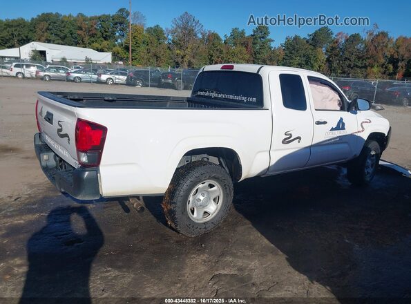 3TYRX5GN9NT054231 2022 TOYOTA TACOMA White Rear right