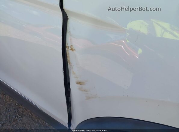 3VV3B7AX2LM095739 2020 VOLKSWAGEN TIGUAN White 