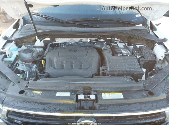 3VV8B7AX5RM134127 2024 VOLKSWAGEN TIGUAN Белый Вид сзади
