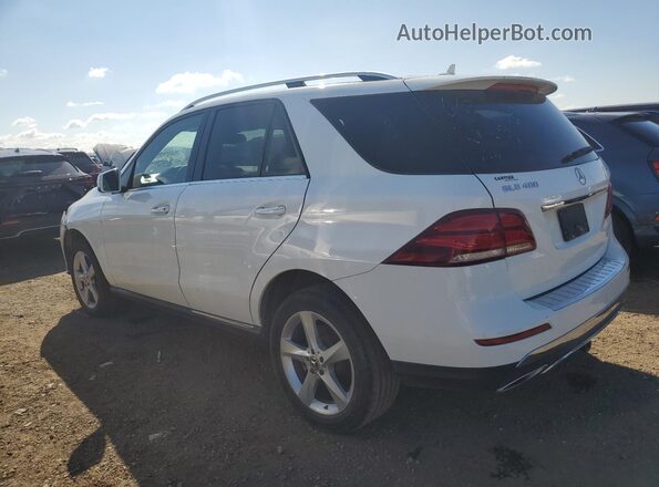 4JGDA5GB2KB216034 2019 MERCEDES-BENZ GLE White Trasero derecho