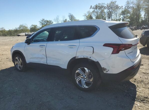 5NMS2DAJ9PH609342 2023 HYUNDAI SANTA FE White Tył prawy