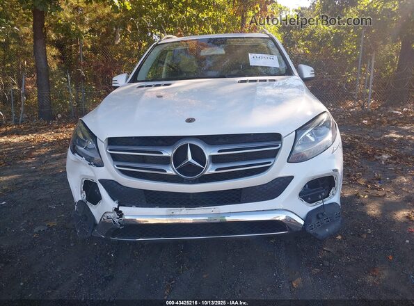 4JGDA5GBXKB206500 2019 MERCEDES-BENZ GLE 400 White Widok zestawu wskaźników