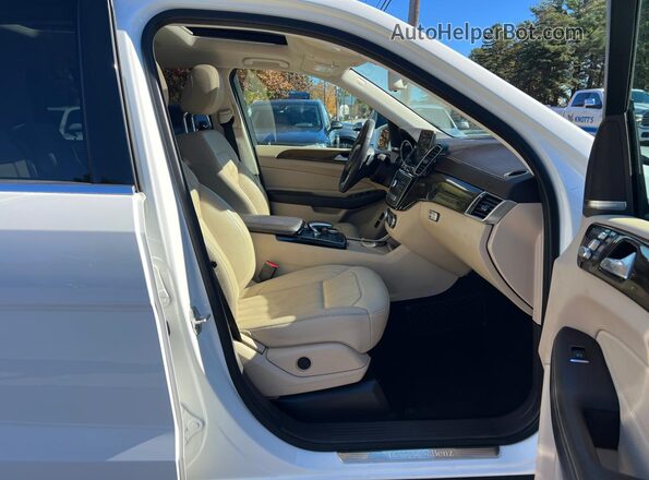 4JGDF6EE2HA762352 2017 MERCEDES-BENZ GLS-CLASS Белый Вид сзади