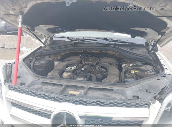 4JGDF6EE5GA703634 2016 MERCEDES-BENZ GL 450 Белый Вид сзади