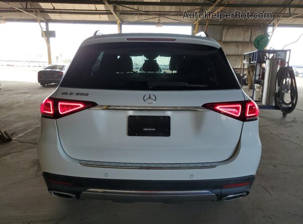 4JGFB4JB1LA211116 2020 MERCEDES-BENZ GLE Белый Вид сзади