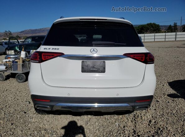 4JGFB4JBXLA149246 2020 MERCEDES-BENZ GLE Белый Вид сзади
