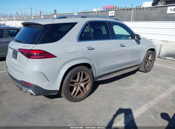 4JGFB6BBXRB104725 2024 MERCEDES-BENZ AMG GLE 53 Gray Հետևի աջ