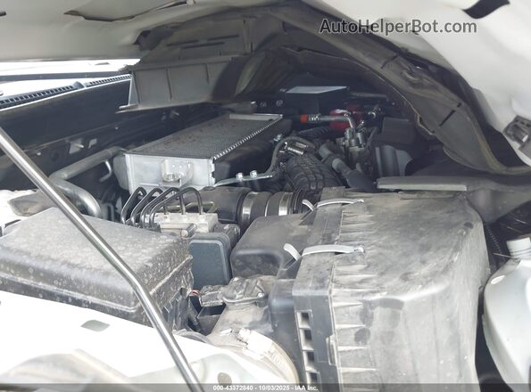 4S4BTGUD4R3239368 2024 SUBARU OUTBACK Белый Вид сзади