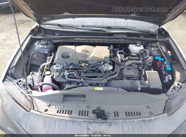 4T1DAACK2SU511573 2025 TOYOTA CAMRY Gray Вид ззаду