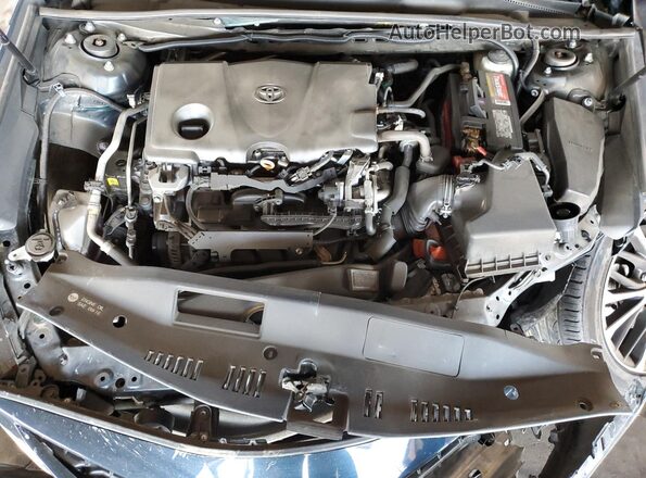 4T1G11AK7LU509724 2020 TOYOTA CAMRY Blue Вид задньої частини салону