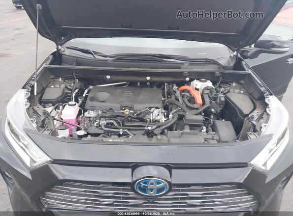 4T3D6RFV6MU059255 2021 TOYOTA LIMITED Black უკანა ხედი