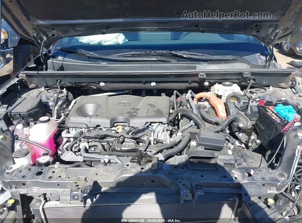 4T3E6RFV1MU032243 2021 TOYOTA RAV4 HYBRID Gray უკანა ხედი