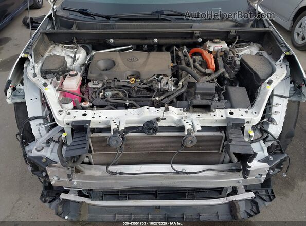 4T3E6RFV9MU052420 2021 TOYOTA RAV4 HYBRID Белый Вид сзади
