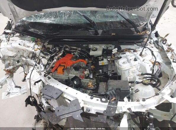 4W5XHPRL4RZ518007 2024 ACURA ZDX Белый Вид сзади