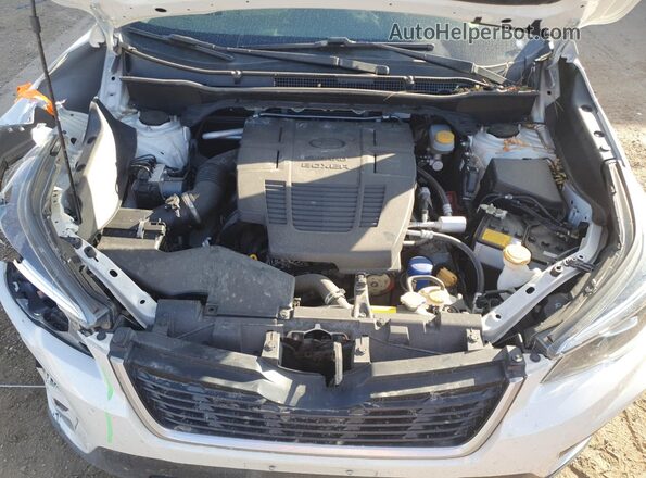 JF2SKAJC3LH576688 2020 SUBARU FORESTER White Вид наклейки з VIN-кодом