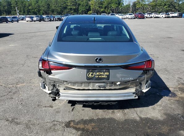58ABZ1B10KU024101 2019 LEXUS ES Gray Rear view