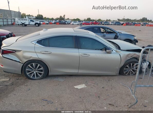 58ACZ1B12LU051452 2020 LEXUS ES 350 Gold უკანა სალონის ხედი