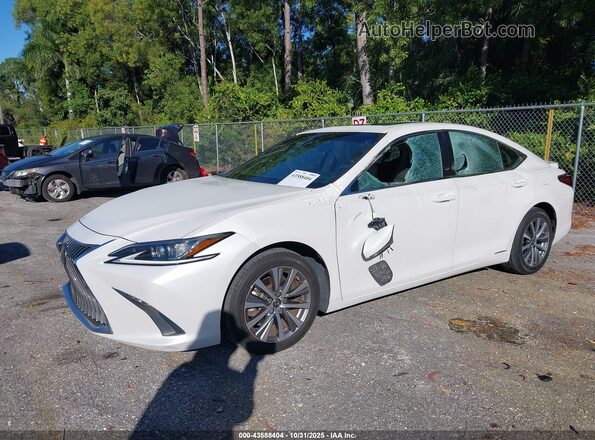 58AD21B15LU005901 2020 LEXUS ES 300H White Вид спереду