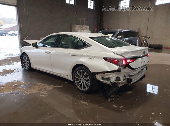 58ADA1C14MU012406 2021 LEXUS ES 300H White Հետևի ձախ