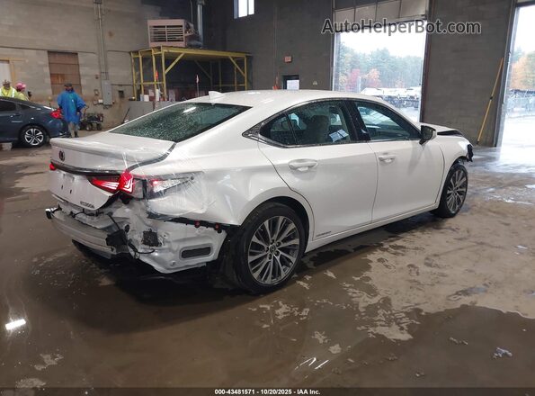 58ADA1C14MU012406 2021 LEXUS ES 300H White Հետևի աջ