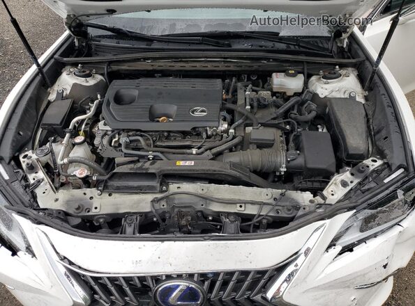 58ADA1C18NU017593 2022 LEXUS ES Белый Вид задней части салона