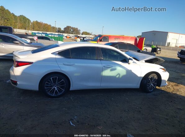 58ADA1C1XPU034236 2023 LEXUS ES 300H White Սալոնի հետևի տեսք